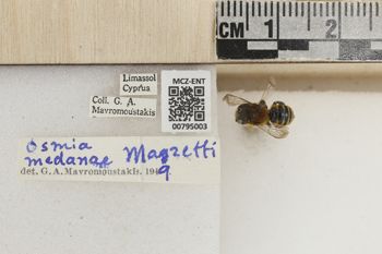 Media type: image;   Entomology 795003 Aspect: Labels
